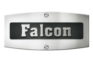LOGO FALCON