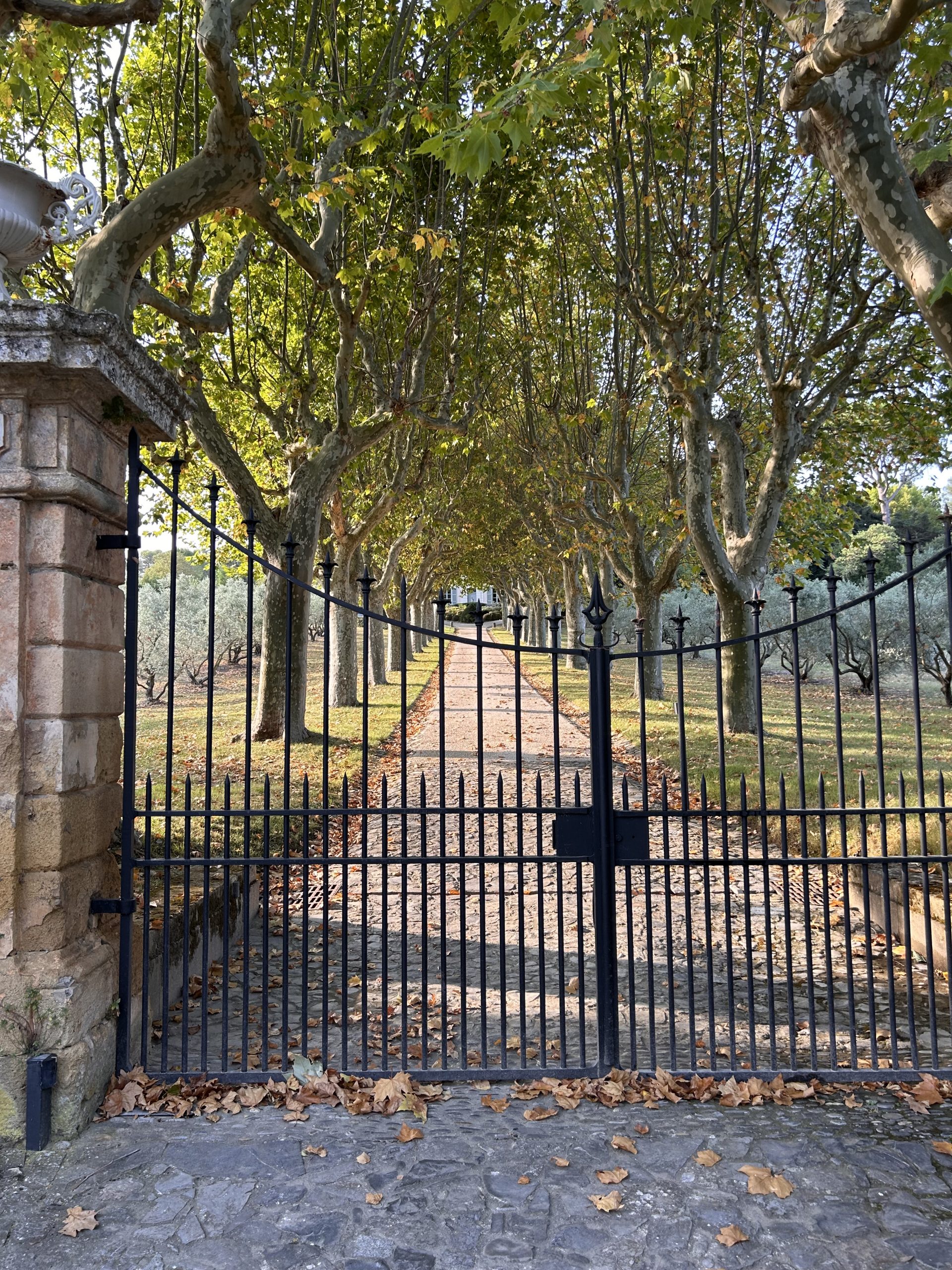 PHILOSOPHIE VALEURS ET PATRIMOINE